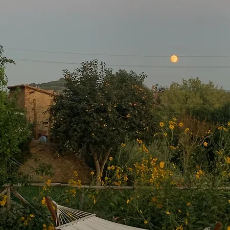 Casa Cerboneschi *