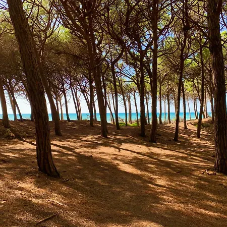 Couette-café Casa Cerboneschi