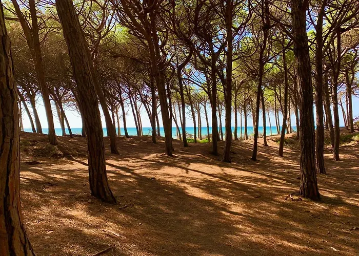 Oda ve Kahvaltı Casa Cerboneschi